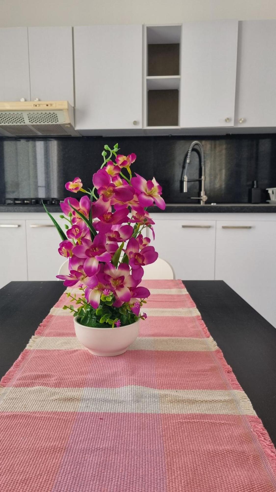 Villa Roberta Boca Chica Zewnętrze zdjęcie